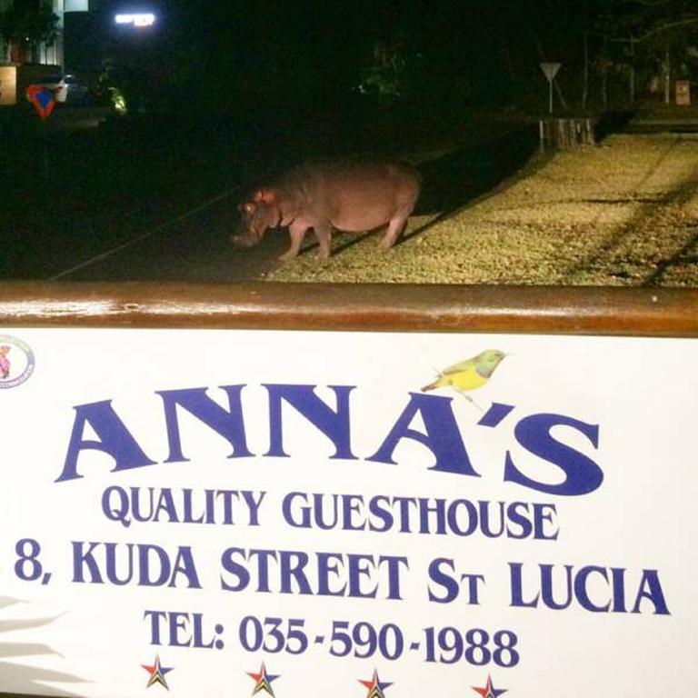 Annas Bed And Breakfast Сент-Люсия Экстерьер фото